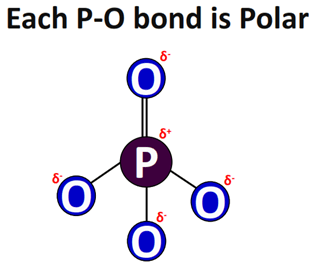 each P-O bond is polar in PO43-