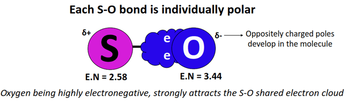 each S-O bond is polar in SO42-