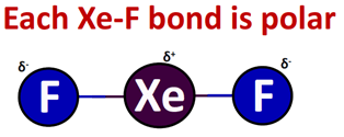 each Xe-F bond is polar in XeF2