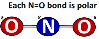 each bond is polar in NO2+