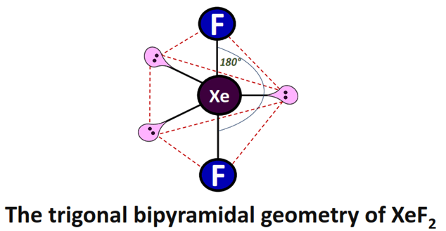 geometry of xef2