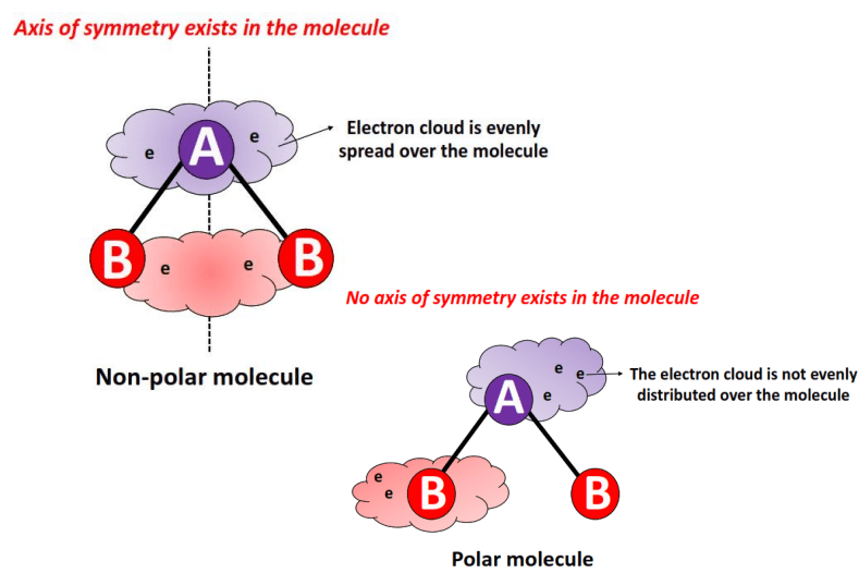 polar vs nonpolar molecules