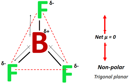 polarity of BF3