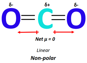 polarity of CO2