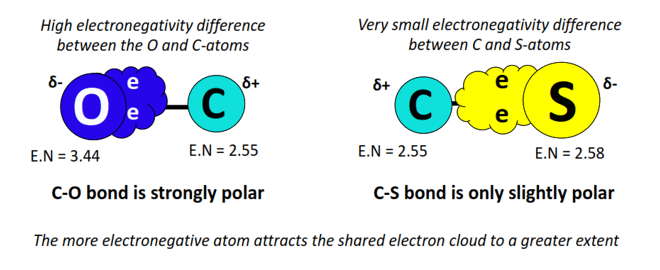 polarity of bonds in OCS or COS