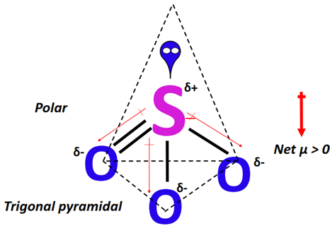 polarity of so32-