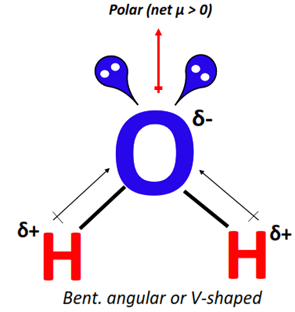 polarity of water molecule