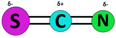 scn- dipole charges