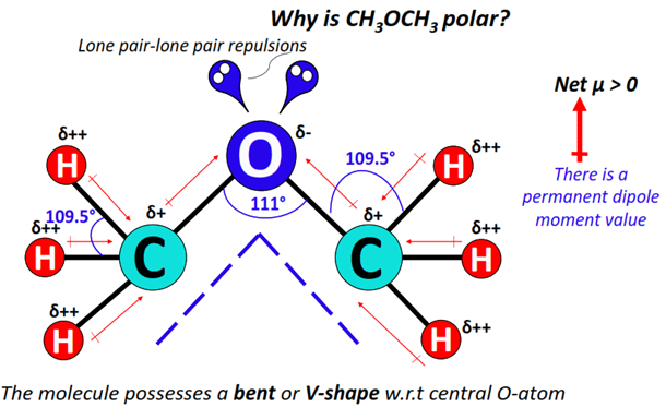 why is dimethyl ether (ch3och3) polar molecule