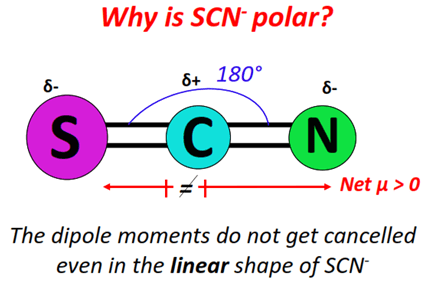 why is scn- polar molecule