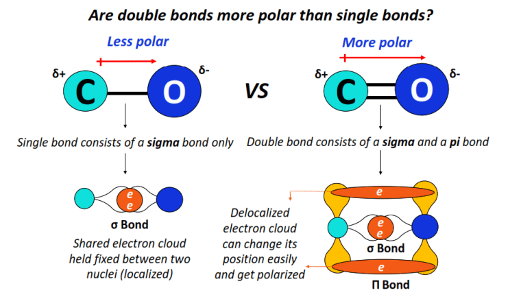 Are double bonds more polar than single bonds