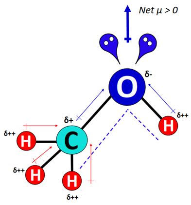 Examples of polar molecules containing C-H bonds - CH3OH