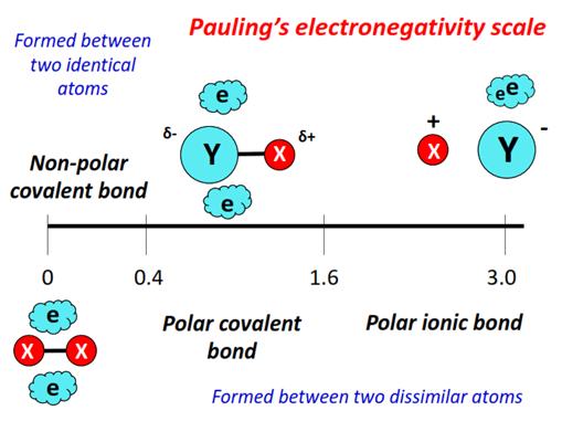 Pauling electronegativity scale for polarity of bonds 