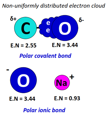 Polar C-O, C=O and O-Na+ bonds make the ‘head’’ of a soap molecule extremely polar