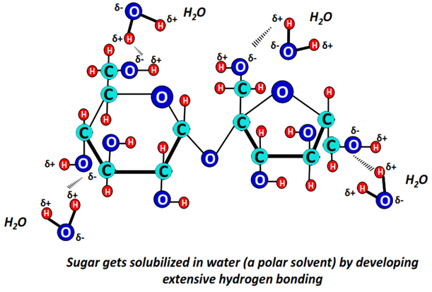 Polar sugar molecules can get readily dissolved in polar solvents