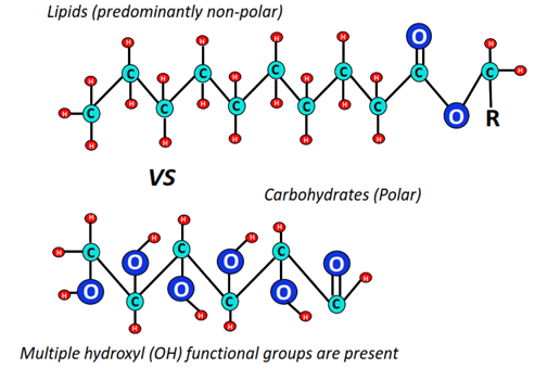 Why are lipids nonpolar but carbohydrates polar