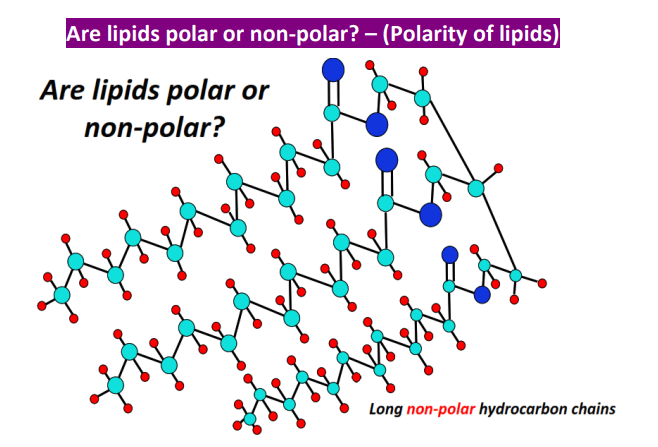 are lipids polar or nonpolar