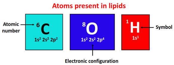 atom present in lipids