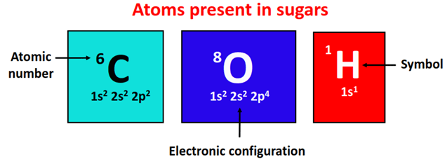 atom present in C12H22O11