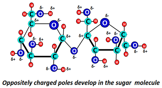 charges developed in sugar molecule