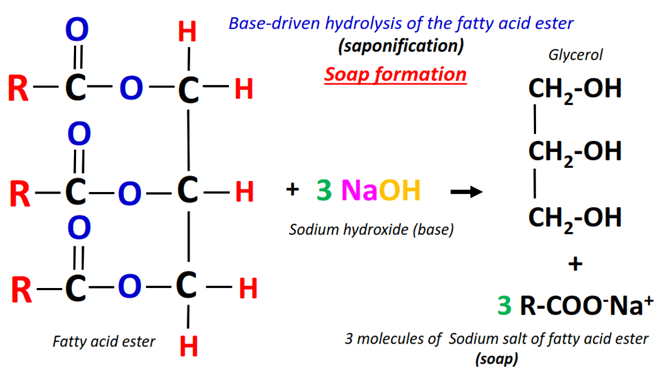 chemical process of soap formation is known as saponification