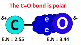 c=o bond is polar