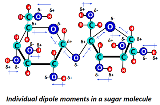 dipole moment in sugar molecule