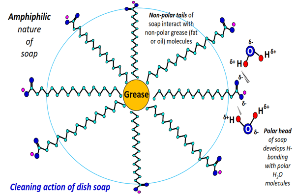 dish soap polar or nonpolar