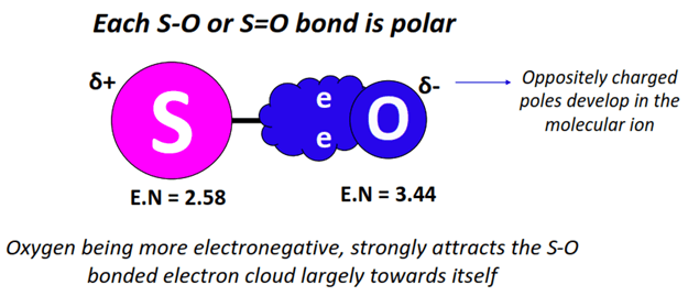 each S-O bond is polar in so32-