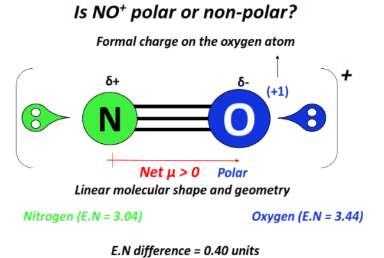 is NO+ polar or nonpolar