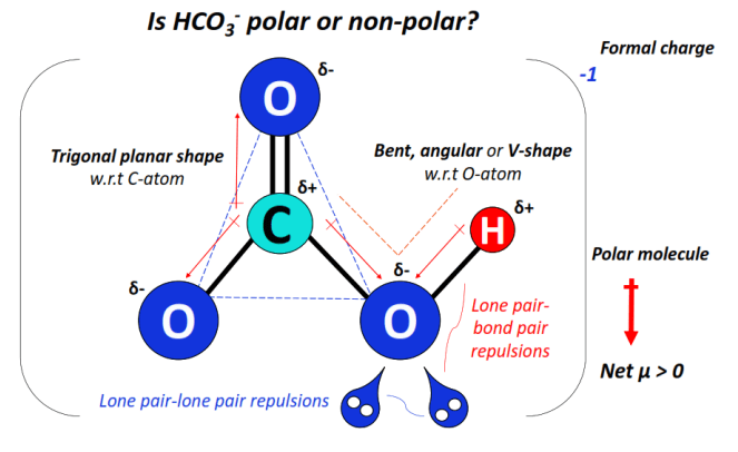 is hco3- polar or nonpolar