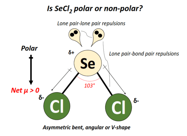 is secl2 polar or nonpolar