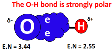 o-h bond is strongly polar