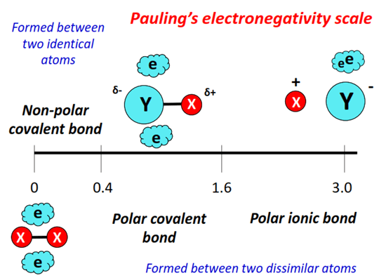 pauling electronegative scale for polar and nonpolar