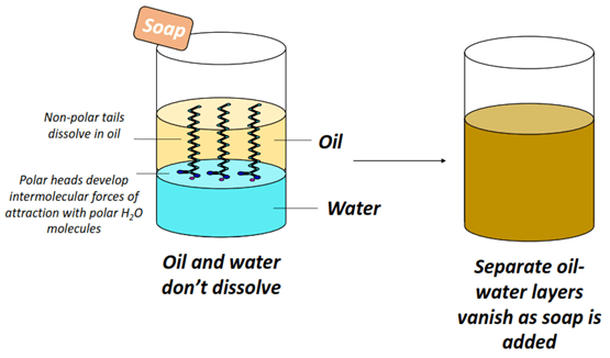 soap is polar and oil is nonpolar