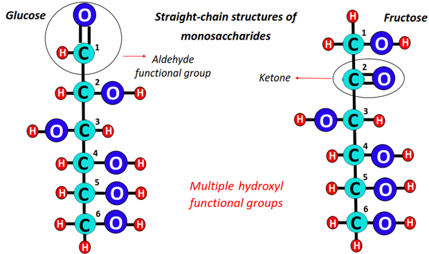 straight-chain structures of glucose and fructose