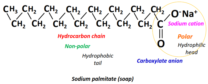 structure of soap