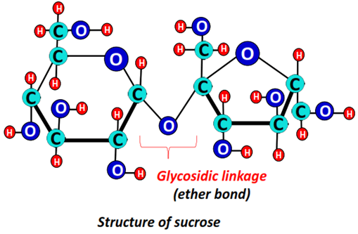 structure of sucrose