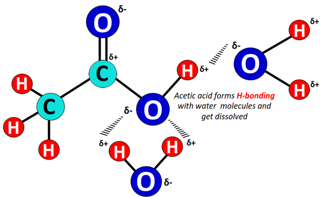 vinegar (ch3cooh) solubility