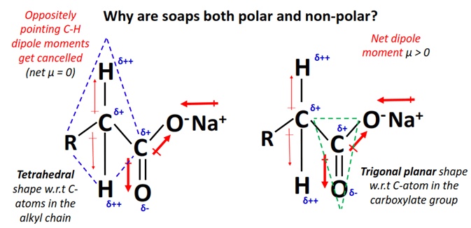 why are soap both polar and nonpolar molecule