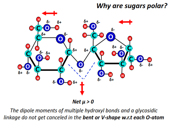 why are sugar (C12H22O11) polar