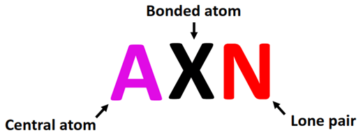 AXN formula
