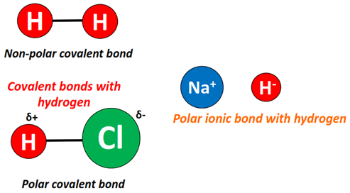 Hydrogen forms which bond, polar, covalent, or ionic bond