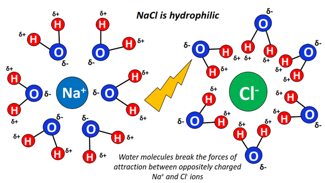 Is NaCl Hydrophobic or Hydrophilic