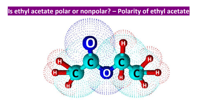 Is ethyl acetate polar or nonpolar