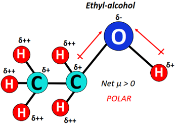 Is ethyl alcohol polar