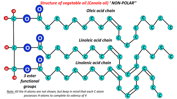 Is vegetable oil polar or nonpolar