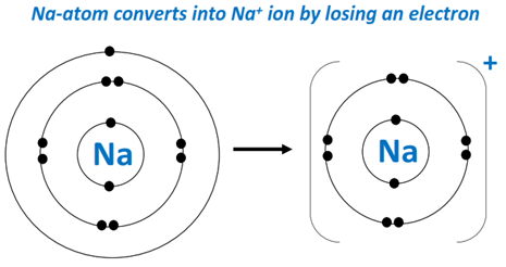 Na convert into Na+ ion