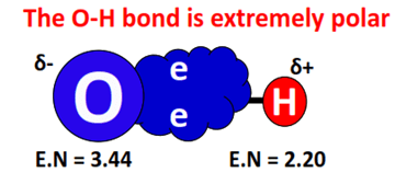 O-H bond is polar