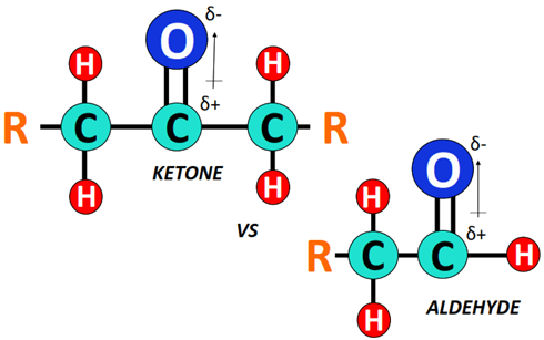 Why are ketones more polar than aldehydes